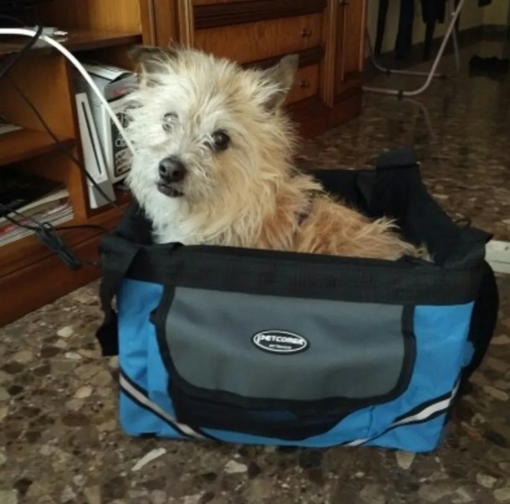 Съемная сумка для перевозки питомцев велосипедная корзина собак кошек маленькие