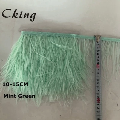 mint green 10 метров темно-зеленое перо отделка 10-15 см ширина страуса перо платье с бахромой швейный Материал карнавал рождественские украшения Ремесло - Цвет: mint green