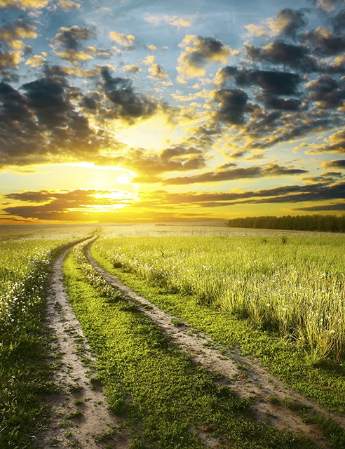 Allenjoy Профессиональный фон для фотосъемки трава небо облака солнце новорожденный