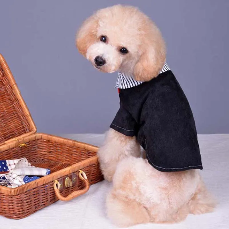 Домашняя собака модная одежда для маленьких питомцев собак в западном стиле