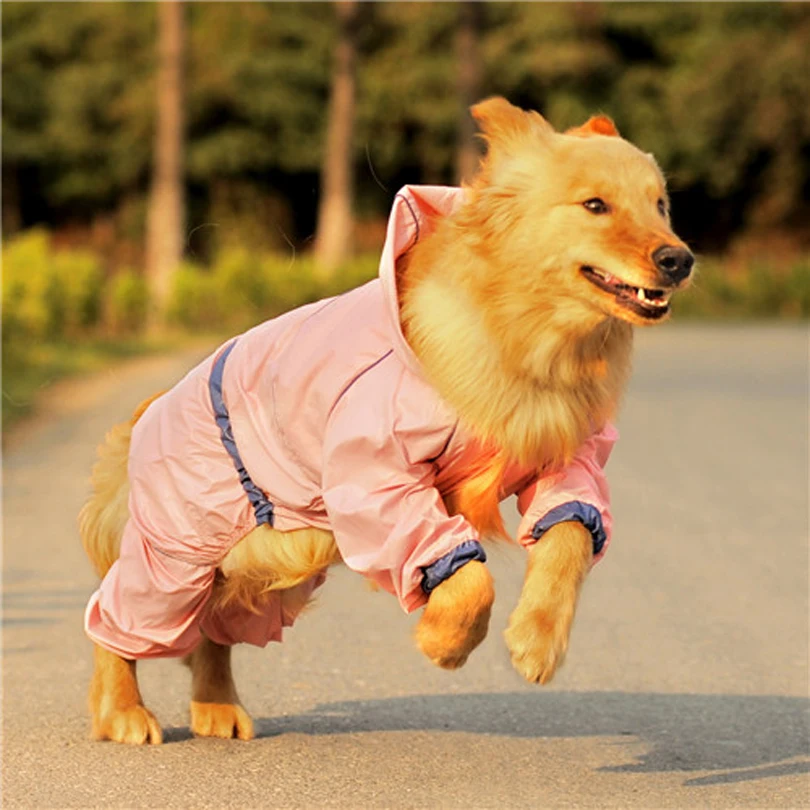 Супер водонепроницаемая одежда для дождливой погоды дождевик собак простая Мода