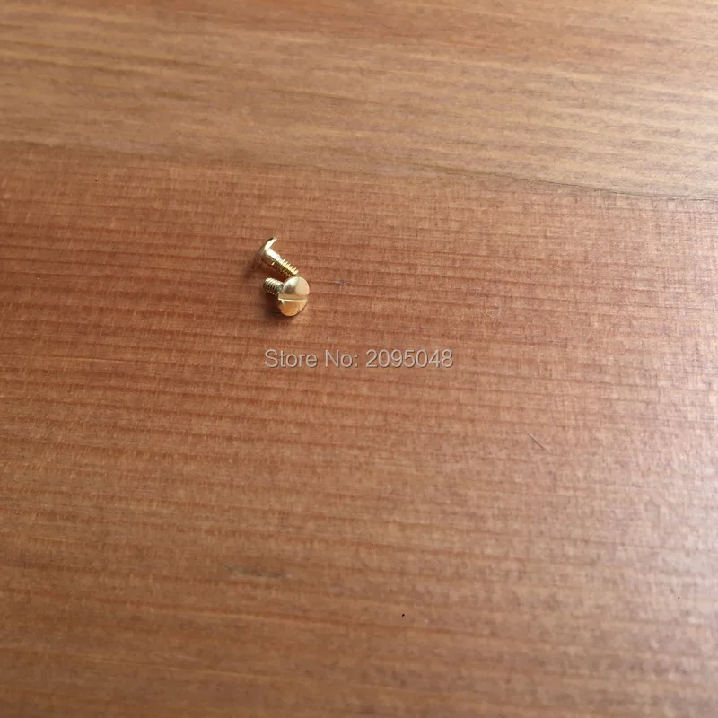 2piece/set DZ watch screws for  diesel Chronograph man watch crown bridge protect guard watch screw