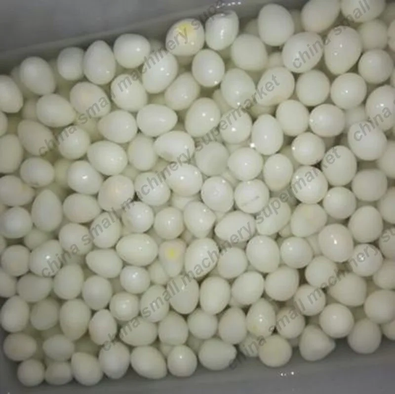 Новейший дизайн Высокоэффективная машина для обработки яиц бытовая очистки