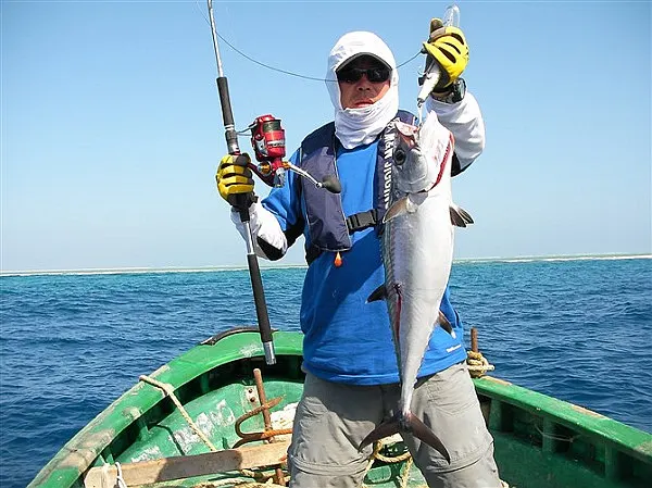 19.4 г 11 см рыболовные приманки рыбалка решать мягкую свинец искусственные джиг