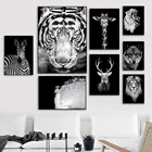 Тигр, Лев, олень, настенная живопись, скандинавский плакат и принт фотографии животных на стену для гостиной, скандинавский Декор для дома