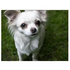 Алмазная живопись 