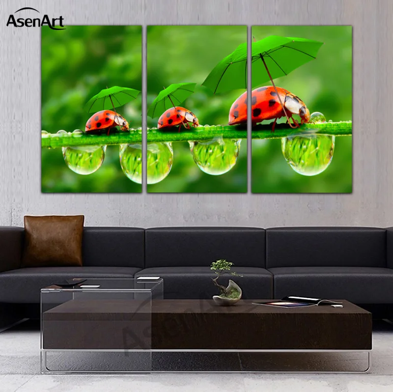 Холст масло отпечатки Книги по искусству изображение Забавный Божья коровка