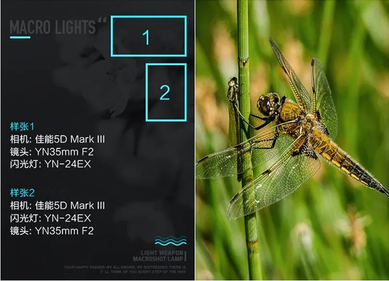 Светодиодная лампа для видеосъемки YONGNUO YN-24EX YN24EX Макро Вспышка Speedlite Macro Twin Lite ttl флэш-макросъемке для Canon 5diii 5DII 5D 6D