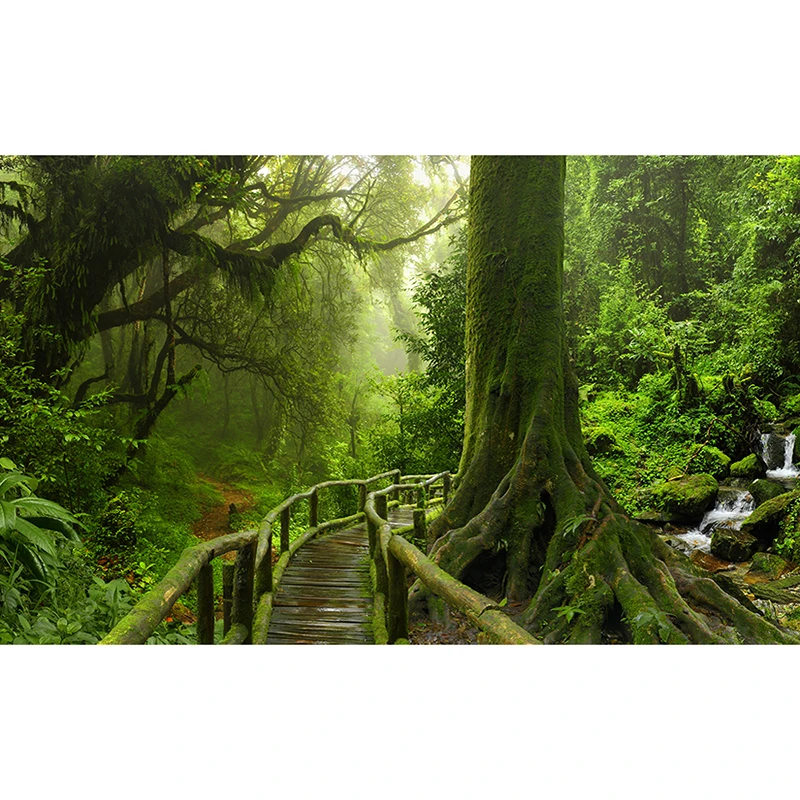 

custom photo wallpaper murals living room sofa bedroom backsplash decor 3d Green Tree Forest wall paper