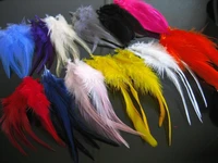 set of 300pcs premium rooster feathers great for jewelry making hair extensions crafts fishing 4 7 ym0032