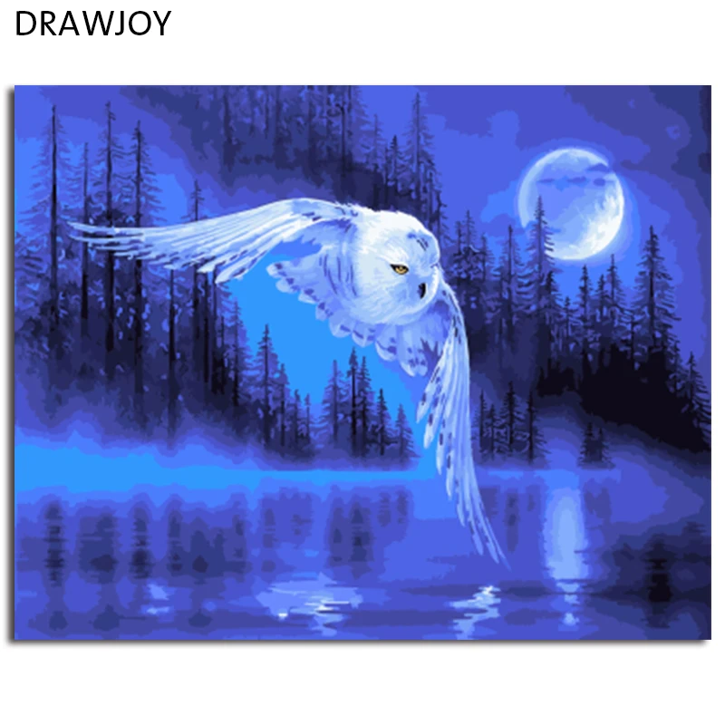 DRAWJOY картина в рамке с изображением животного орла сделай сам по номерам на холсте Живопись и каллиграфия настенное искусство для домашнего декора 40x50