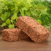 500g coconut coir brick peat growing organic soilless potting garden natural plants soil nutrient bed