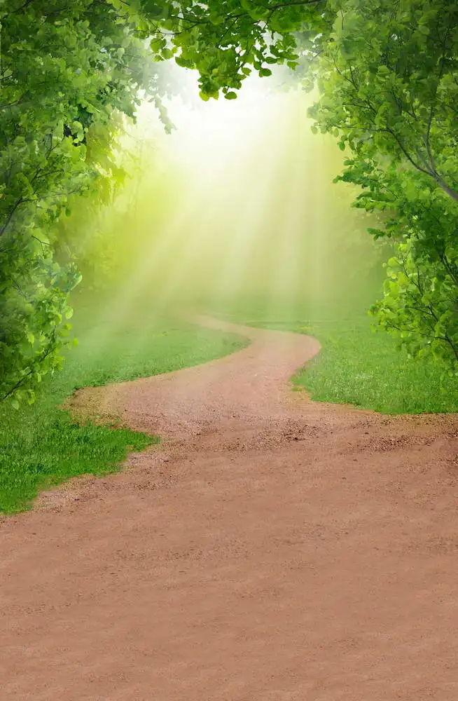 Верхние фоны для фотостудий 3х6 м Новое поступление Фон фотосъемки лесная дорожка