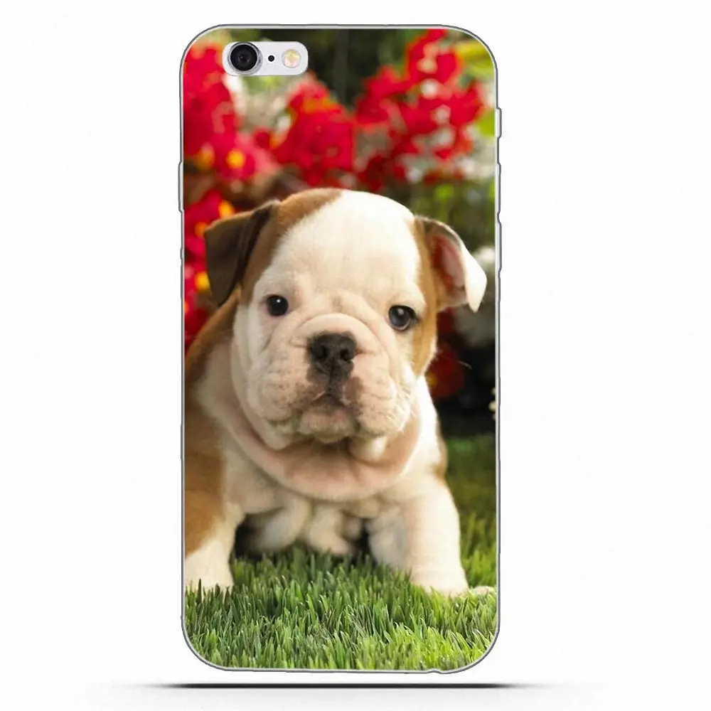 Wexoeq shar pei защитный чехол из ТПУ для Galaxy Alpha Core Prime Note 4 5 8 S3 S4 S5 S6 S7 S8 S9 mini edge Plus|Бамперы|