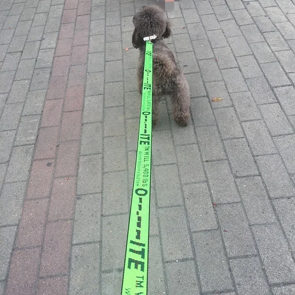 Green Leash Ошейник для собак, нейлоновый поводок, модный ошейник для щенков, для маленьких собак, поводок для бега, поводок для собак, нейлоновая веревка для маленьких щенков, кошек - Цвет: Green Leash