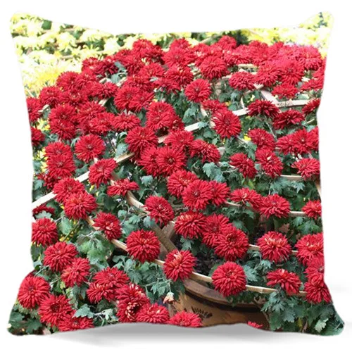 Квадратные наволочки украшение для автомобильного стула 18x18 дюймов 2d принт