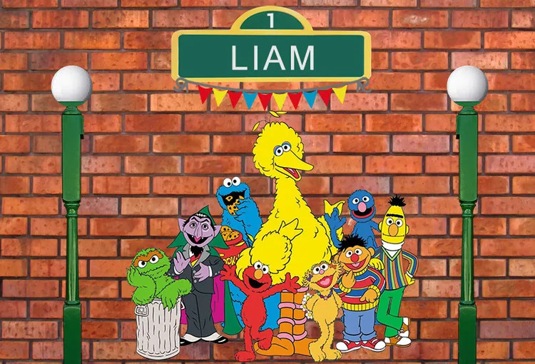 Sensfun Elmo World кирпичи стены Улица Сезам день рождения пользовательские фотографии студия фон винил 7x5FT