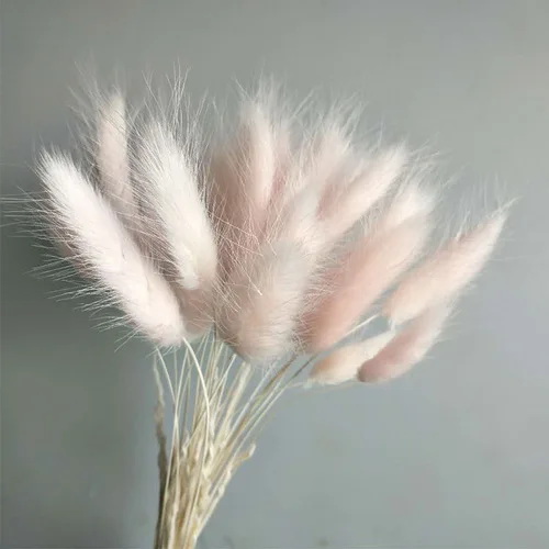 Light Pink 60 шт. сушеные натуральные Цветочные букеты, Красочные букеты lagunus ovatus& Uraria picta& rabbit tail grass букеты грозди - Цвет: Light Pink