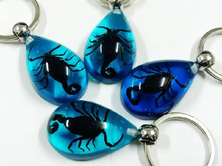 12 шт. синий брелок для ключей настоящий черный скорпион ювелирная смола