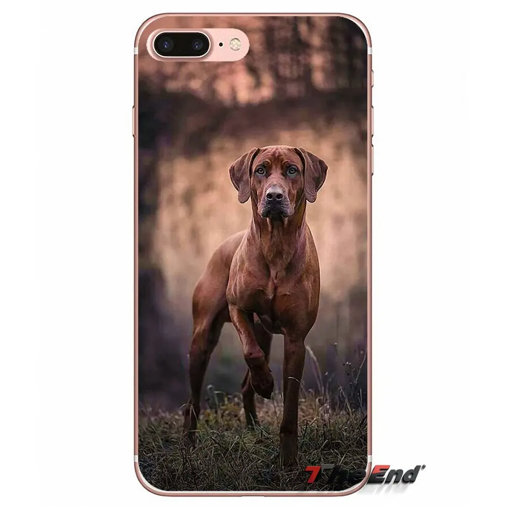 Силиконовые чехлы Rhodesian Ridgeback Dog Для Huawei G7 G8 P7 P8 P9 Lite Honor 4C 5X 5C 6X Mate 7 8 9 Y3 Y5 Y6 II 2 Pro 2017 |