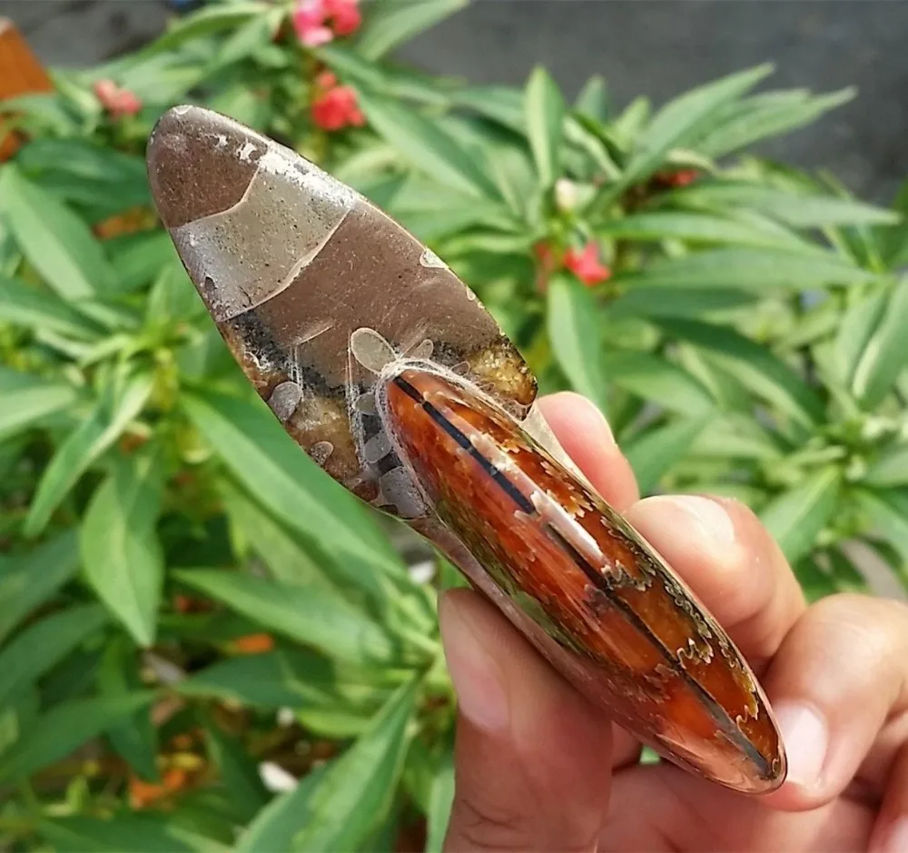 160 г древний аммонит подлинная ископаемая кристаллическая красота мадагаскар |