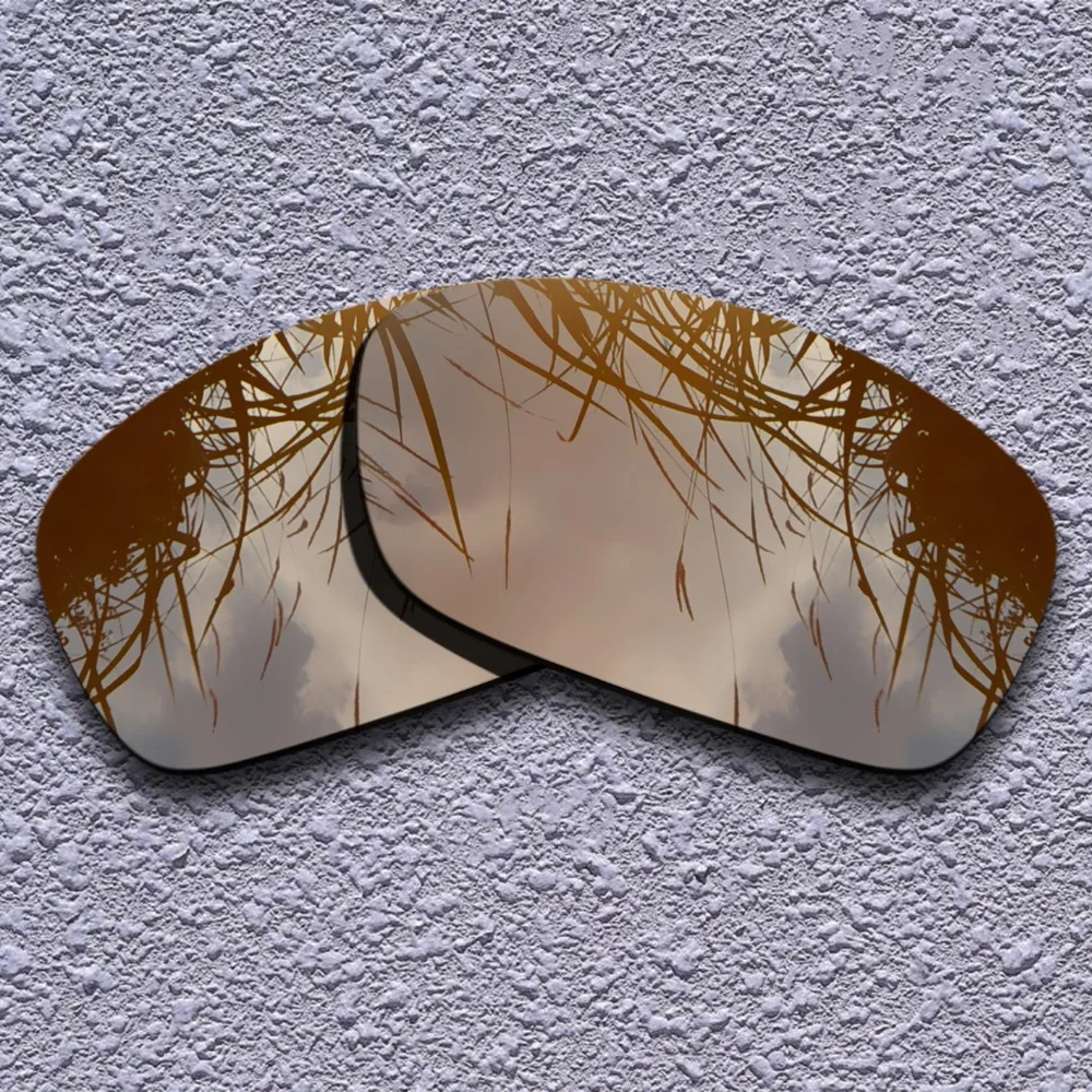 Earth Brown Polarized Replacement Lenses for Oakley Hijinx Sunglasses | Аксессуары для одежды