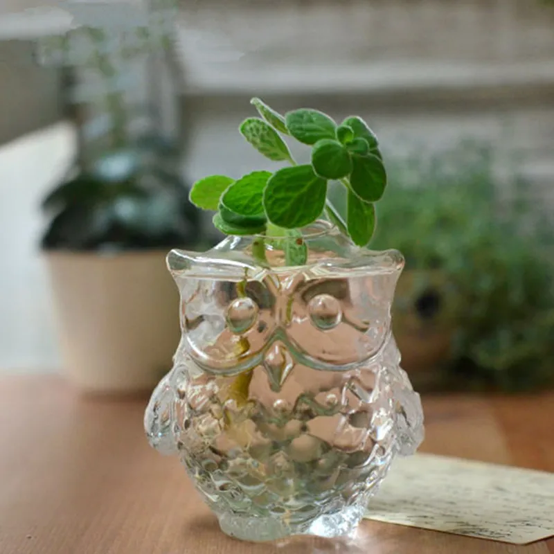 Творческий бытовой продуктовый гидропоники прозрачное стекло цветы прекрасные