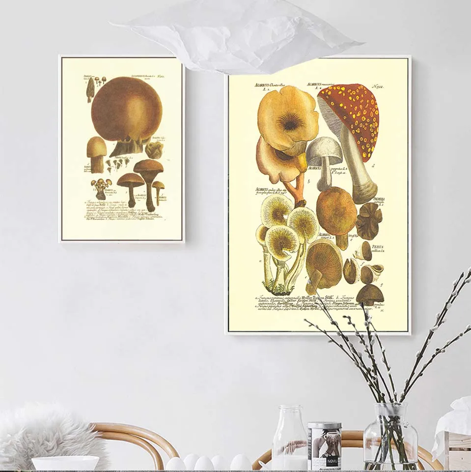 Декор для дома Живопись на холсте Постер и печать Рисунки для гостиной Масло Нерамочные Рисунки Грибы.