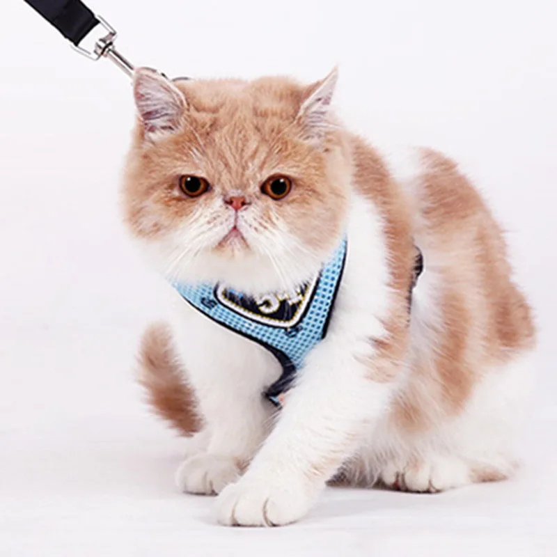 Сетчатый жилет для домашних животных воздухопроницаемая мягкая кошачья