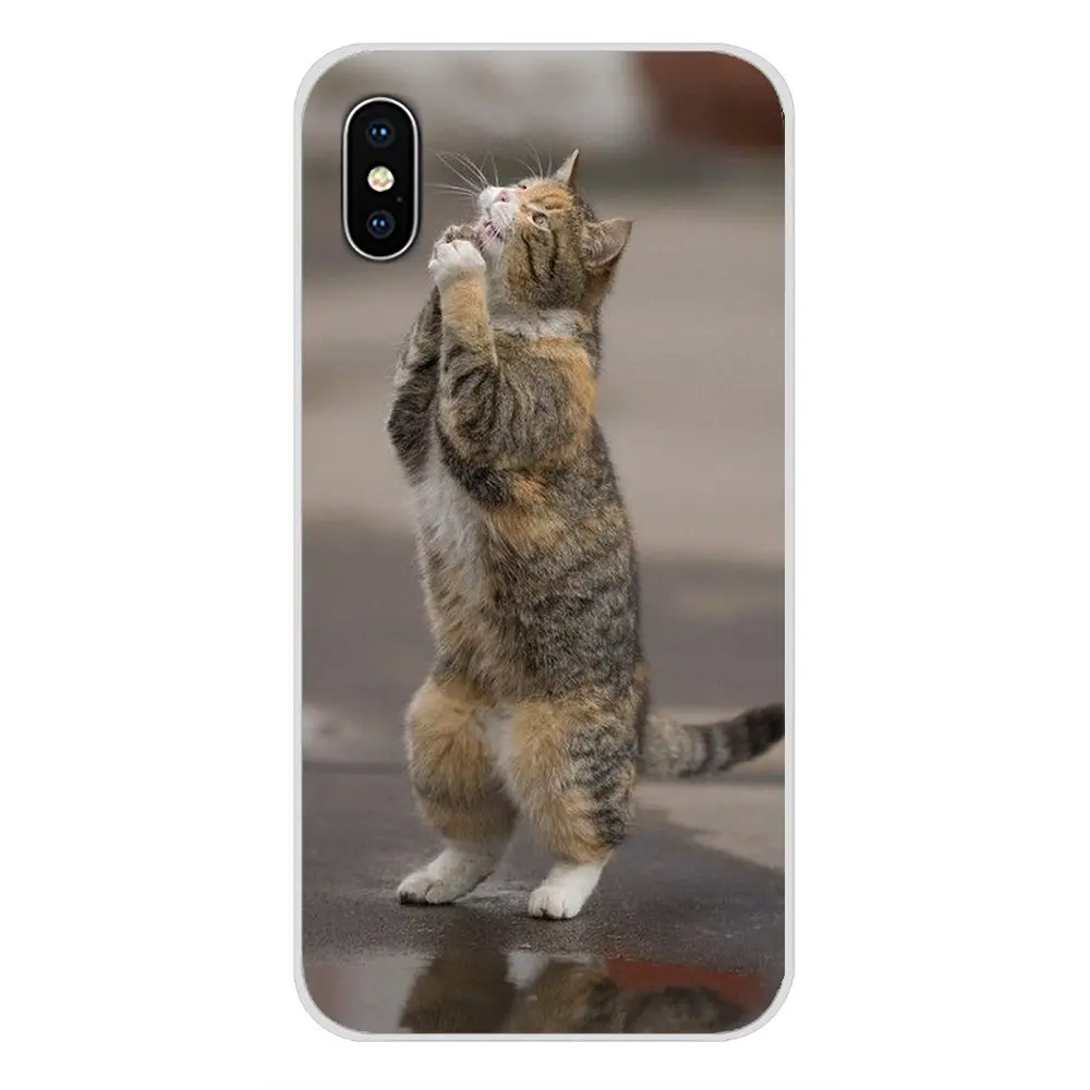 Аксессуары чехлы для телефона Молящиеся котята Коты милые Xiaomi Mi6 A1 5X 6X Redmi Note 5 5A 4X 4A