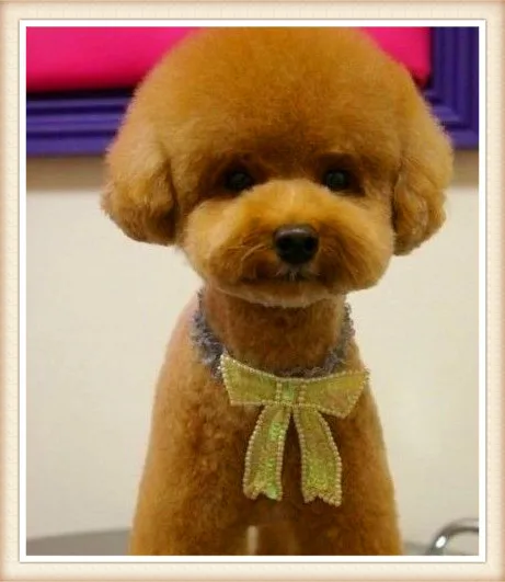 Горячая Распродажа брелок для ключей с животными милый плюшевый мишка собачка