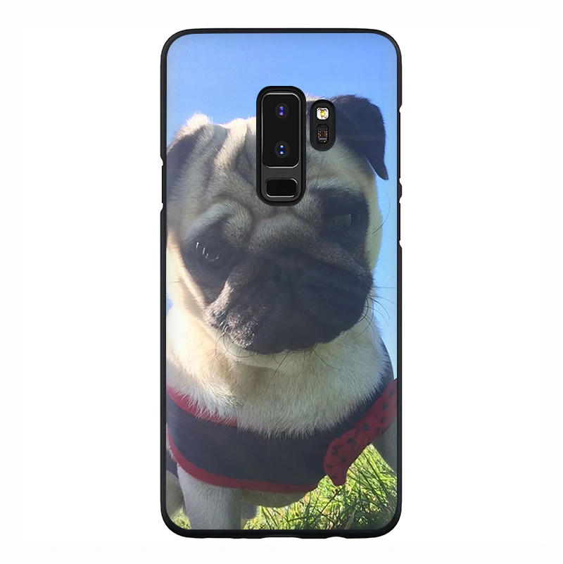 B8 Мягкий чехол для телефона с французским бульдогом и Мопсом для samsung Galaxy M10 20 30 S6 7 Edge S8 9 10 Plus Note8 9 - Цвет: B8