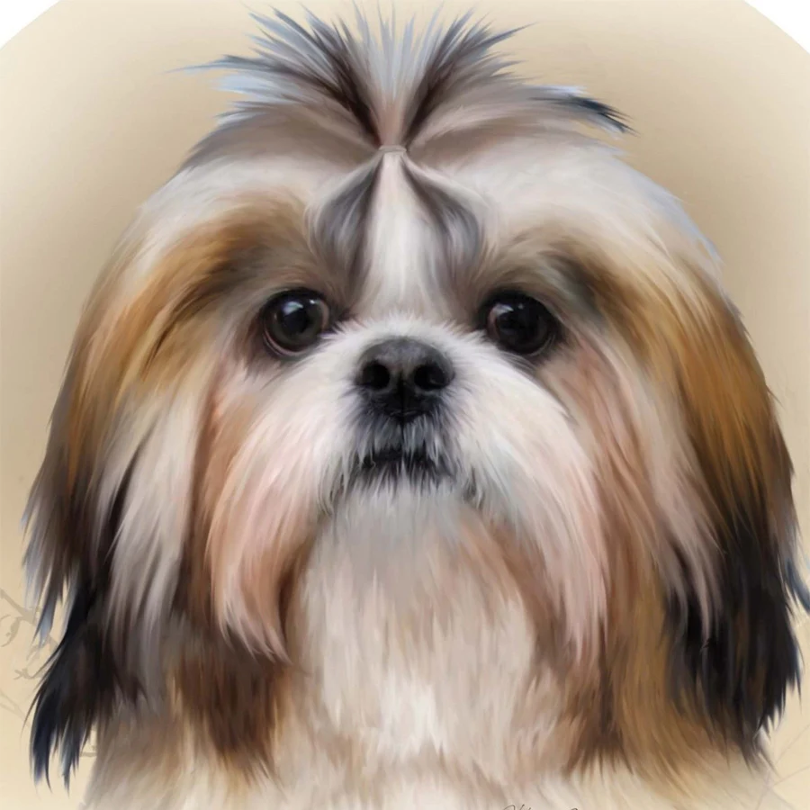 Алмазная Стразы DIY 5D алмазная живопись Shih Tzu вышивка крестиком с собакой картины 3d