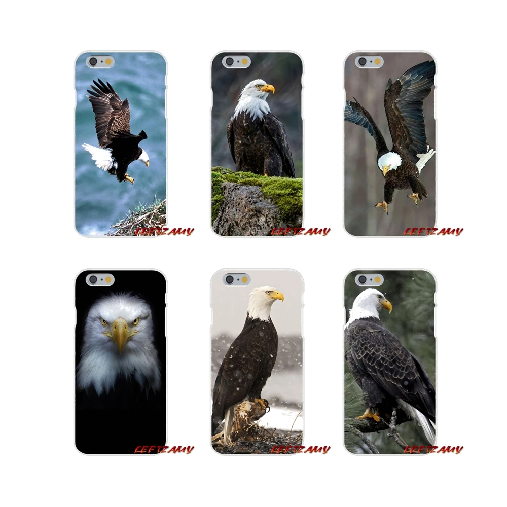 Bald eagle in flight для Samsung Galaxy S3 S4 S5 MINI S6 S7 edge S8 S9 Plus Note 2 3 4 5 8 аксессуары чехлы