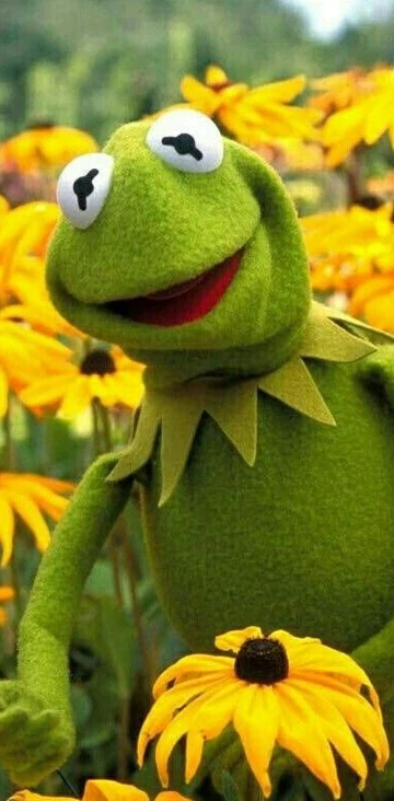 Ruicaica Kermit frog Новое поступление черный чехол для мобильного телефона Apple iPhone 8 7 6 6S