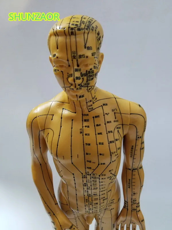 SHUNZAOR меридиановая модель человека для акупунктуры человеческого тела 50 см