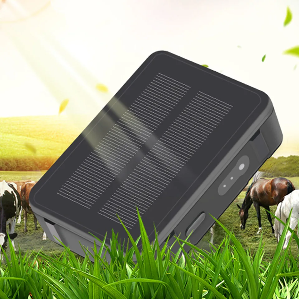 สัตว์วัว GPS Tracker ด้วยพลังงานแสงอาทิตย์ V34 9000 mAh แกะอูฐม้า GPS Tracker กันน้ำ Real time ติดตาม
