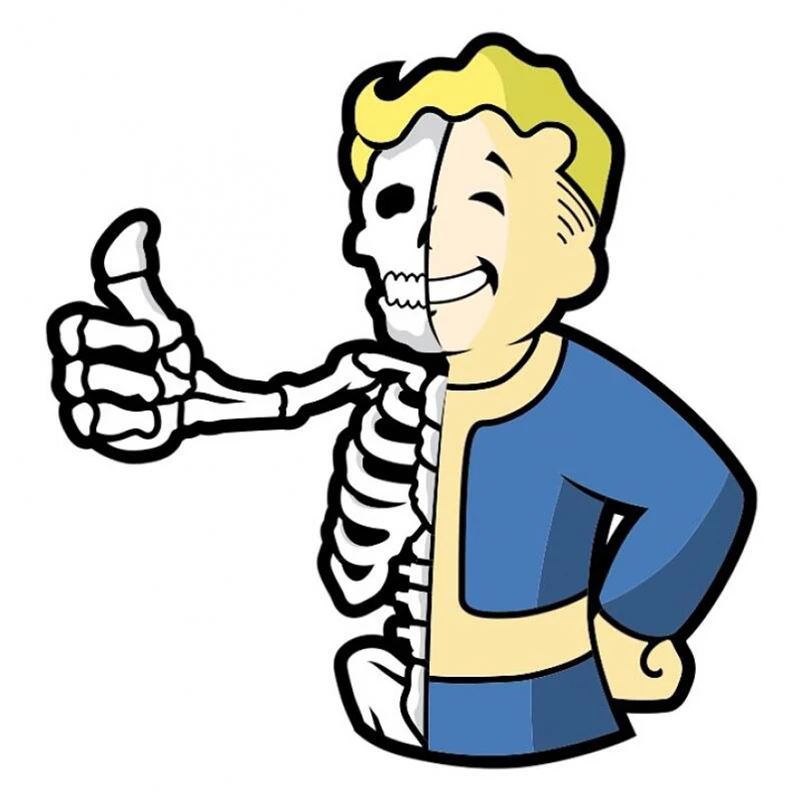 Fallout vedle значок для мальчика лацкан булавка Эмаль Булавка