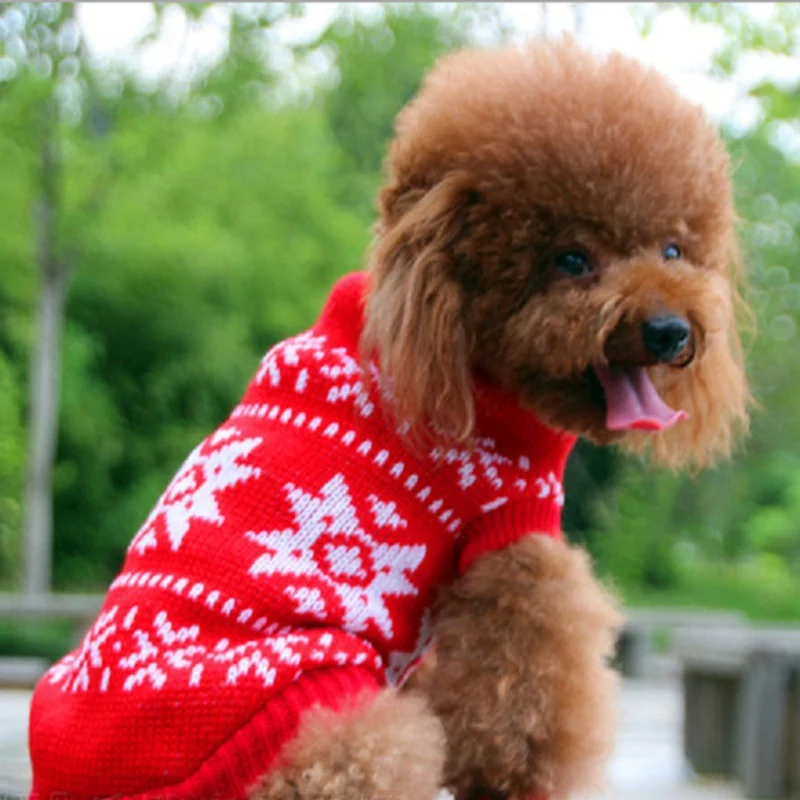 Весна 2019 свитер для питомца одежда собак маленьких щенков модные комбинезоны