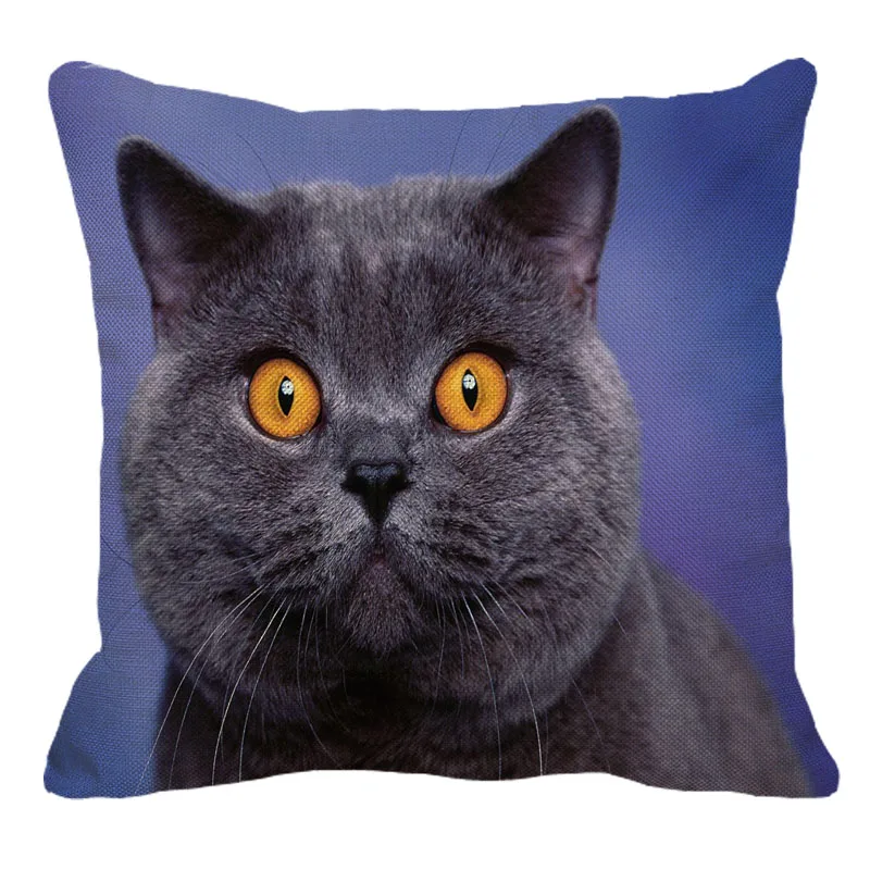 XUNYU Cute British Shorthair Cat Linen Pillowcase Sofa Decorative Pillow Cover Animal Pattern Square Cushion 45X45cm AC011 |
