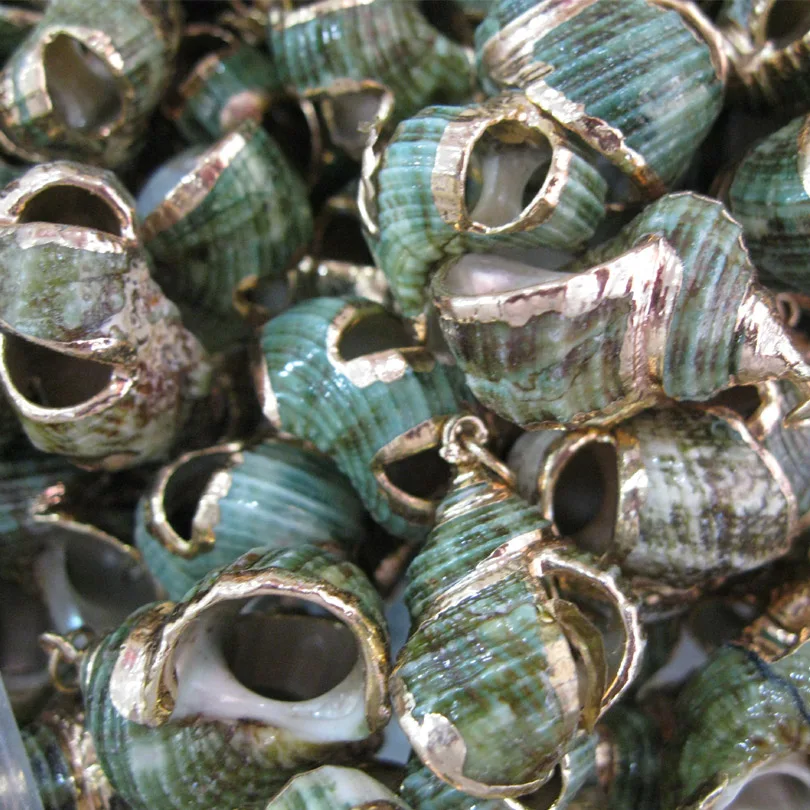 Изящный Золотой Cowry корпус Бесплатная форма кулон ракушка в золотом браслете