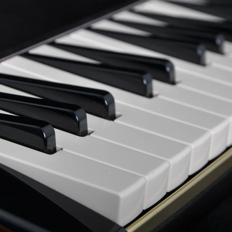 Профессиональный мелодион для SUZUKI 37-клавишный Alto Melodica с чехлом профессиональный