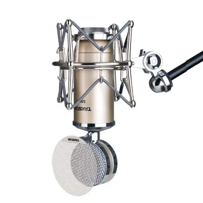 Takstar SM17/Φ микрофон с боковым адресом профессиональный для записи