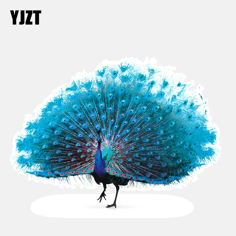 

YJZT 14,8*10,6 см Модные Цветные автомобильные наклейки с павлином в виде птиц, графические аксессуары высокого качества 11A0006