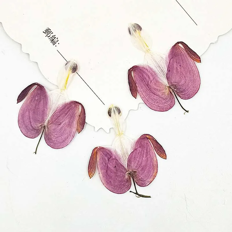 

2022 Unique Dried Flower Bouquet For DIY Filler Material 1 lot / 120pcs Free Shipment