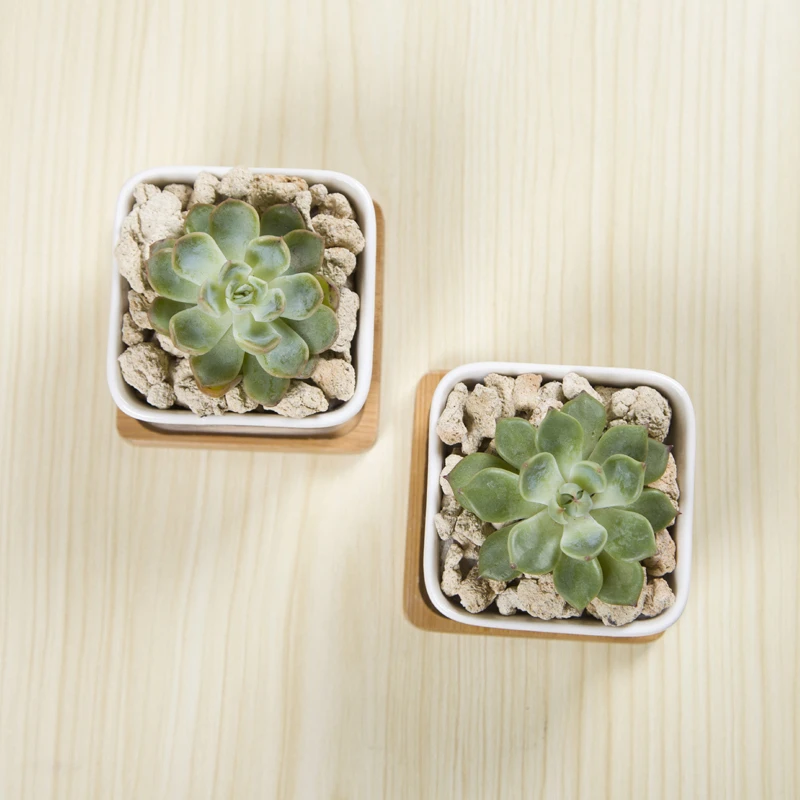 Квадратный белый керамический плантатор для суккулентов 2 набора искусственный