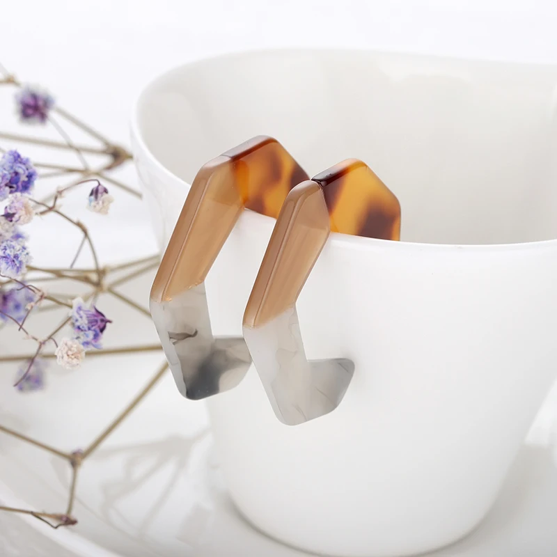 Earrings Fasion Jewelry Geometrically Irregular C-shape Resin Acrylic for Women Exaggerated Bending Leopard Wholesale | Украшения и