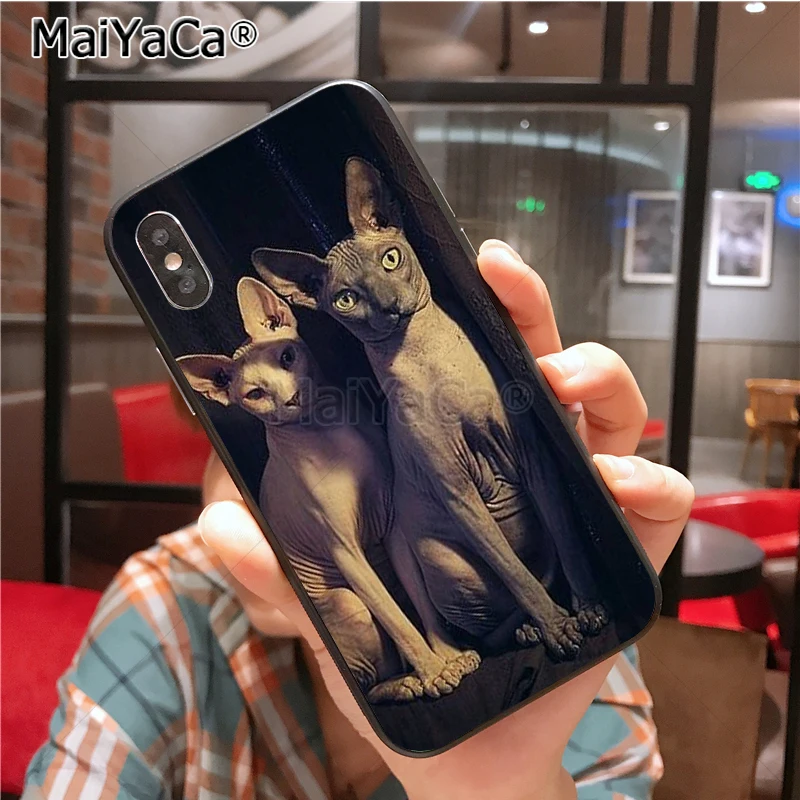Уникальный силиконовый чехол для телефона MaiYaCa sphynx cat для iphone 11 Pro 6S 6plus 7 7plus 8 8Plus X 5 5S чехол