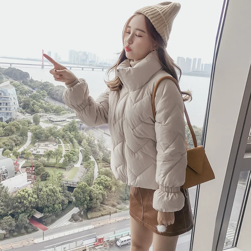 INS/Высококачественная популярная теплая зимняя куртка для женщин с воротником