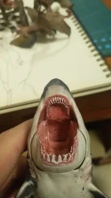 Новое поступление PNSO Megalodon Акула Морская жизнь Классические игрушки для детей мальчиков древняя фигурка животного, модель подвижная челюсть